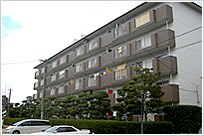 �O�ǉ��C�H��